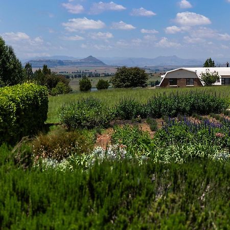 Penzion Lavender Hill Country Estate And Wedding Venue Bethlehem Exteriér fotografie